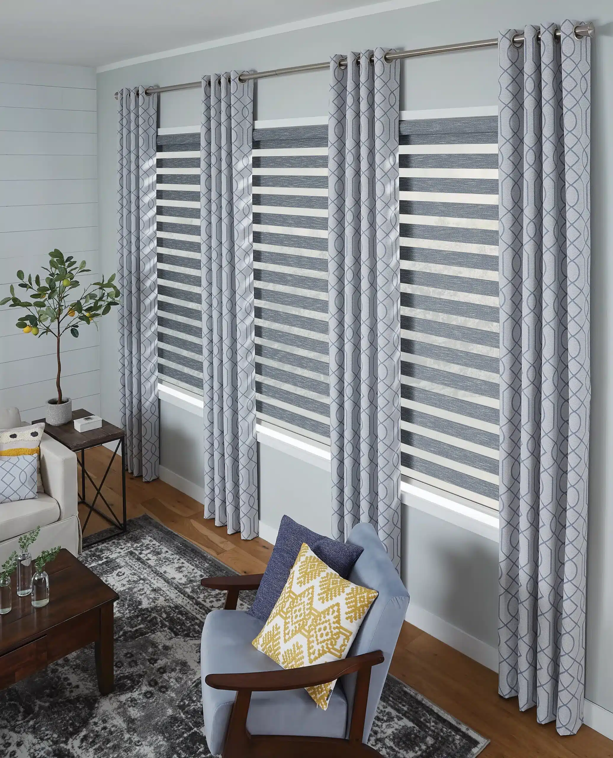 Blue Zebra Shades scaled