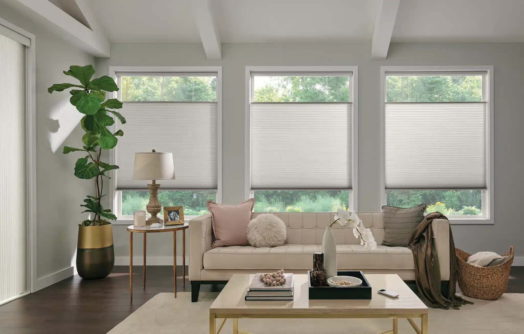 Cellular Shades Aggieland TX Cellular Shades Aggieland TX